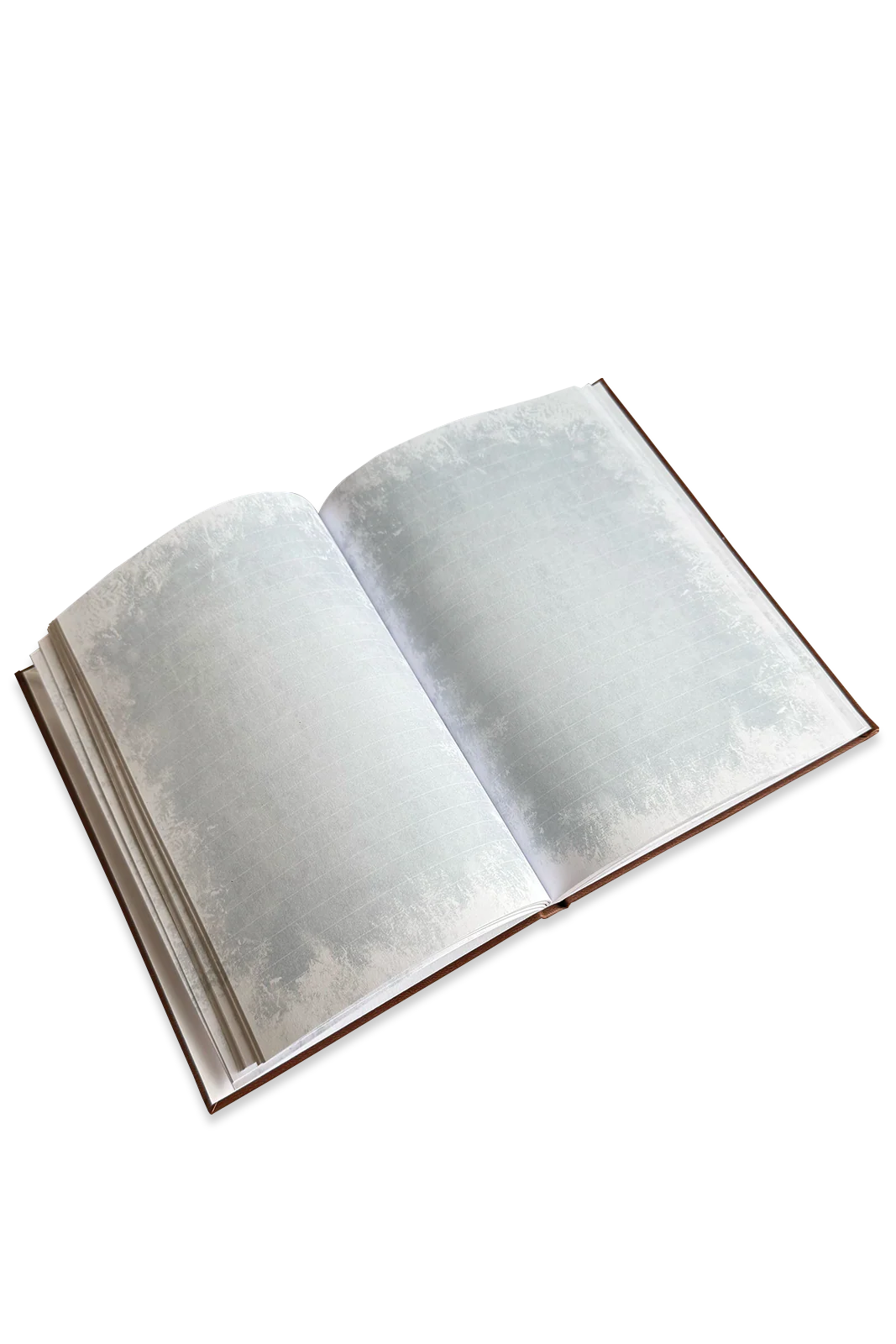 Vorschaubild 5