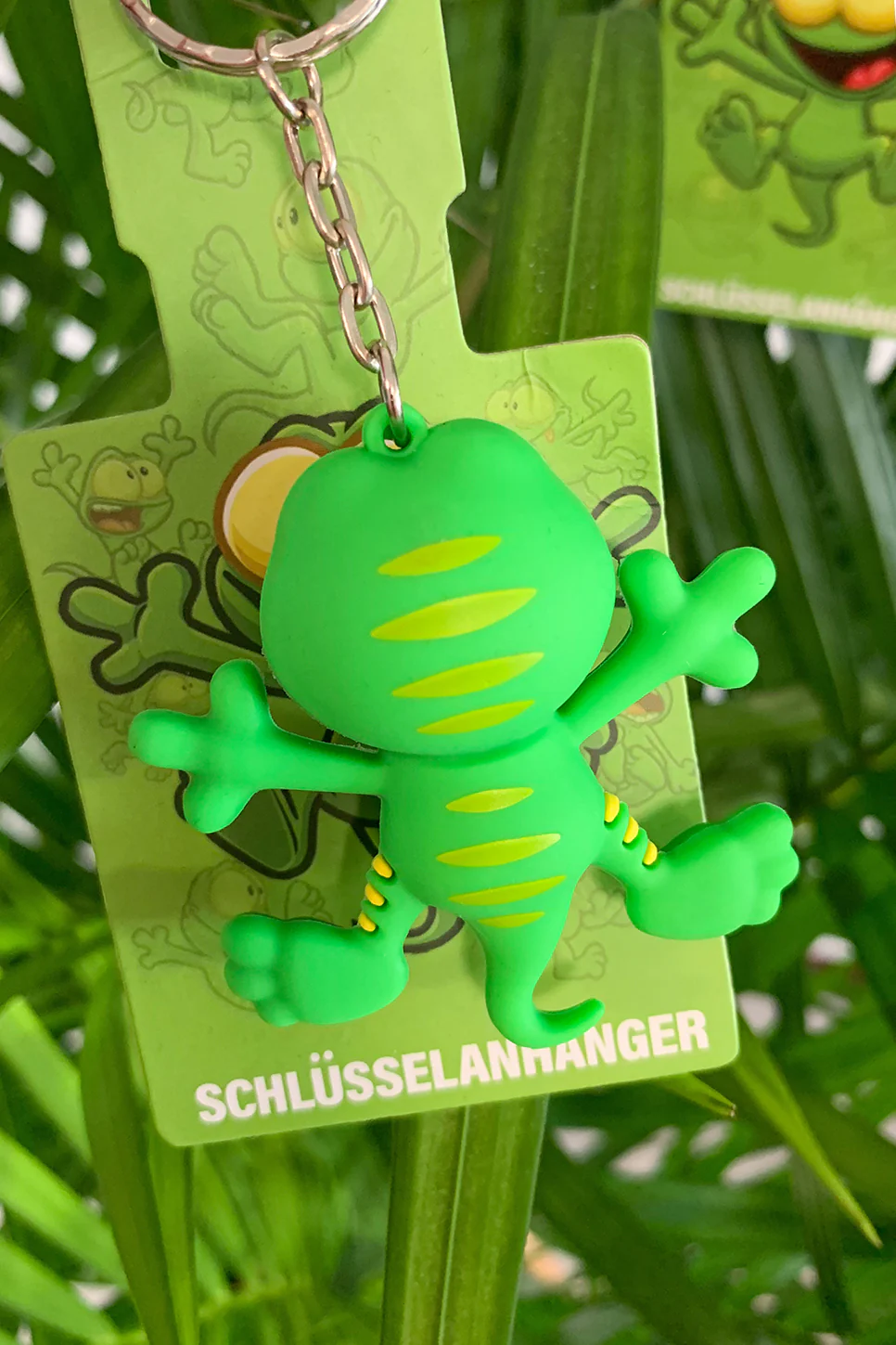 Vorschaubild 5